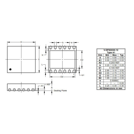 V DFN3030 12 Type A1