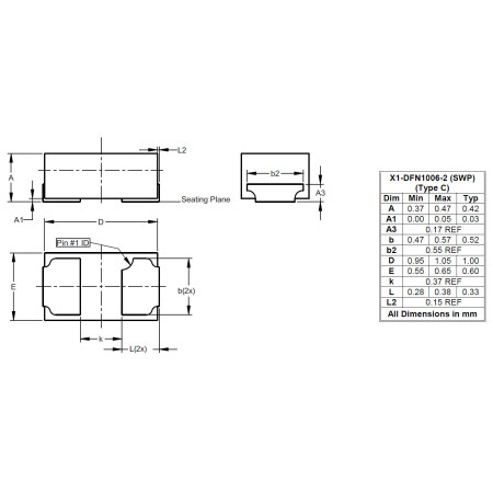 X1 DFN1006 2 SWP Type C