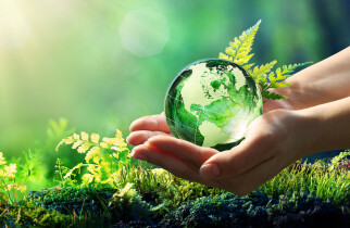 Sustainability Environment green earth
